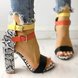 Contrast Color Snakeskin Buckled Chunky Heeled Sandals