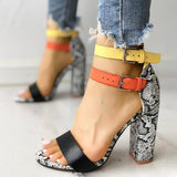 Contrast Color Snakeskin Buckled Chunky Heeled Sandals