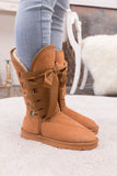 Faux Fur -Lined Ribbon Suede Tie Up Boots - Chestnut Ledshopy.com