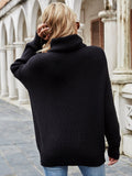 Illy Turtleneck Basic Knit Sweater - Black Ledshopy.com