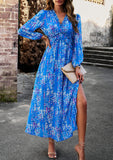 Christabel Floral Printed Maxi Dress - Blue